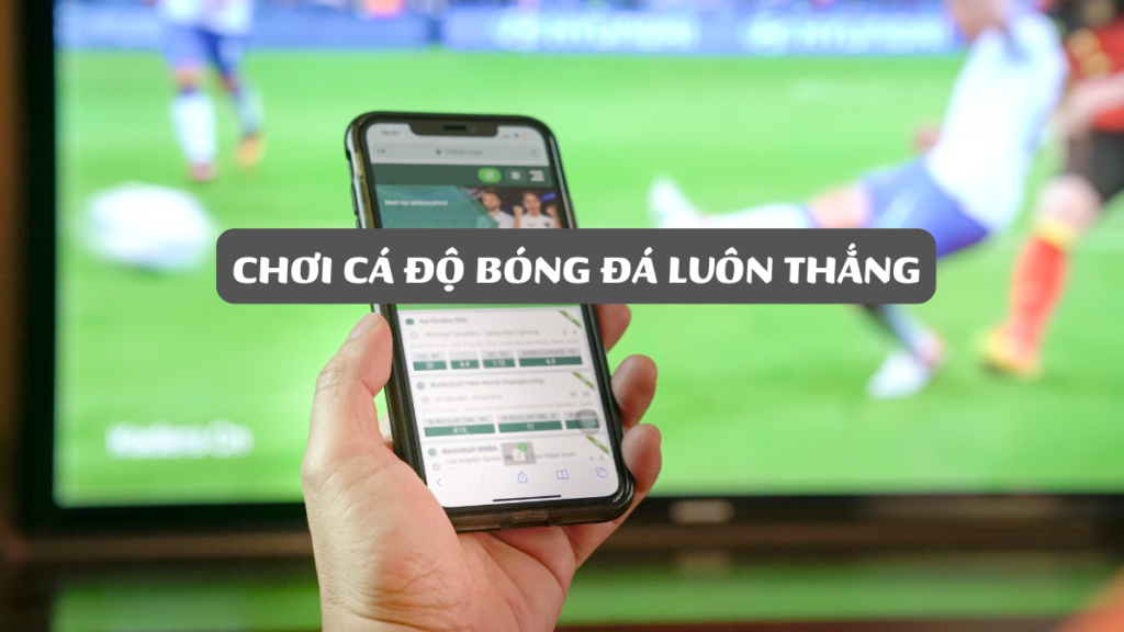Chơi Cá Độ Bóng Đá Luôn Thắng